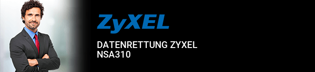 Datenrettung ZyXEL NSA310